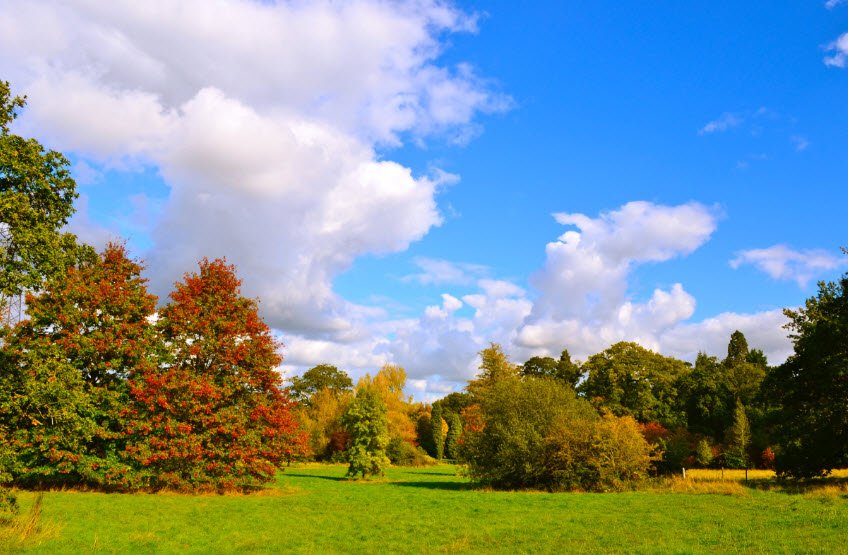 Harcourt Arboretum, United Kingdom